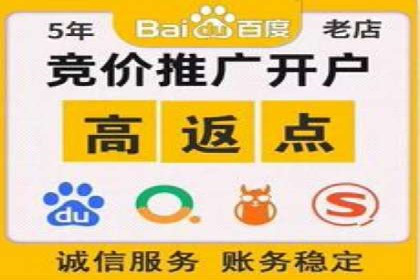 掌握SEM竞价技巧：从案例看效果提升